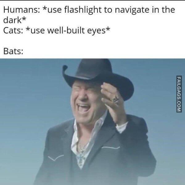 Random Funny Memes 14 6