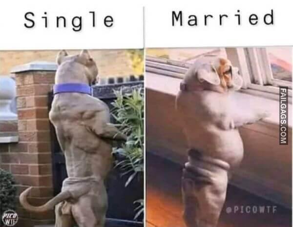 Random Funny Memes 2 12