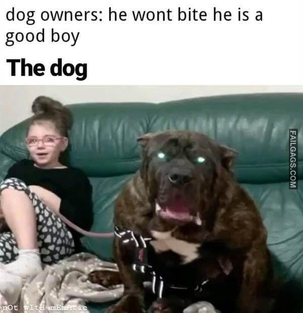 Random Funny Memes 23