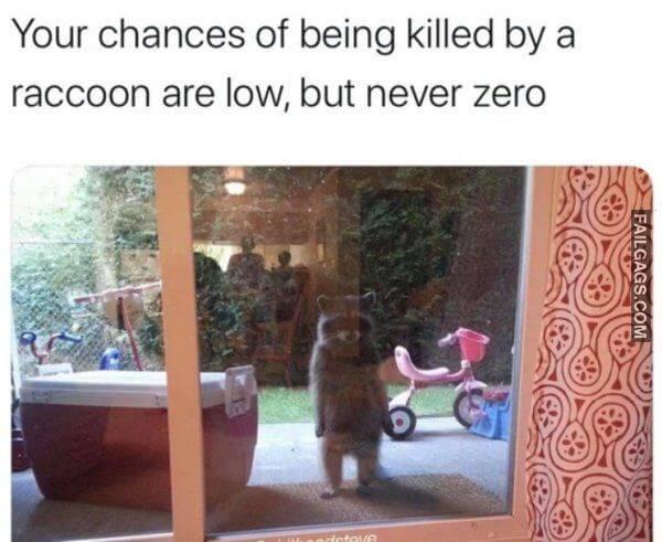 Random Funny Memes 4 6