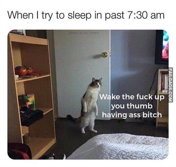 Random Funny Memes 5 1