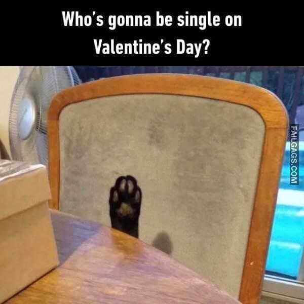 Random Funny Memes 6 2