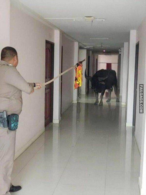 The Definition of a Bad Day 16