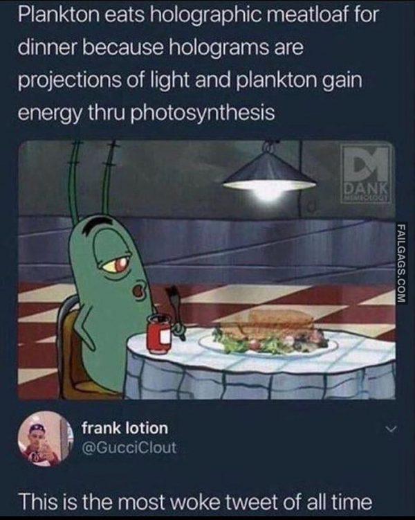 Plankton Eats Holographic Meatloaf for Dinner Because Holograms Are Projections of Light and Plankton Gain Energy Thru Photosynthesis This is the Most Woke Tweet of All Time Memes