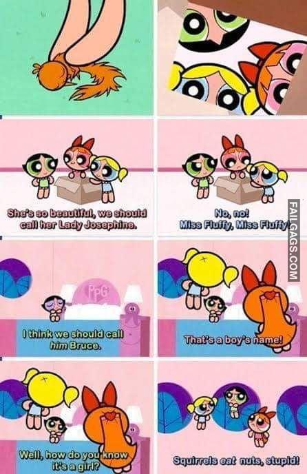 Well How Do You Know Its a Girl? Squirrels Eat Nuts Stupid! Memes