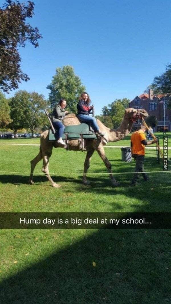 Funny College Memes 13