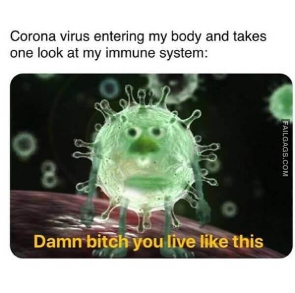 Funny Coronavirus Memes 11 1