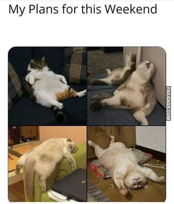 Funny Coronavirus Memes 14 1