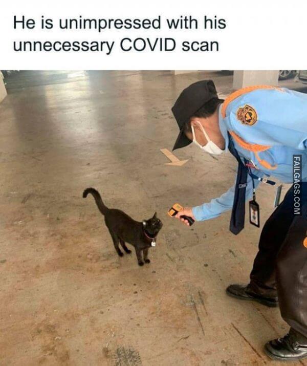 Funny Coronavirus Memes 15