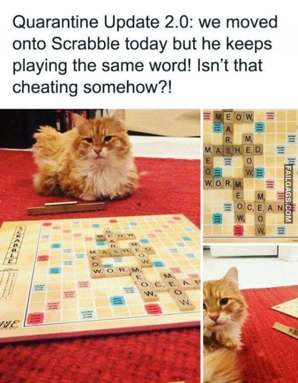 Funny Coronavirus Memes 3 1