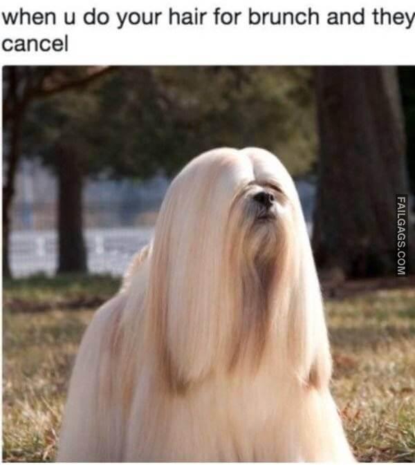 Funny Memes About Women 6