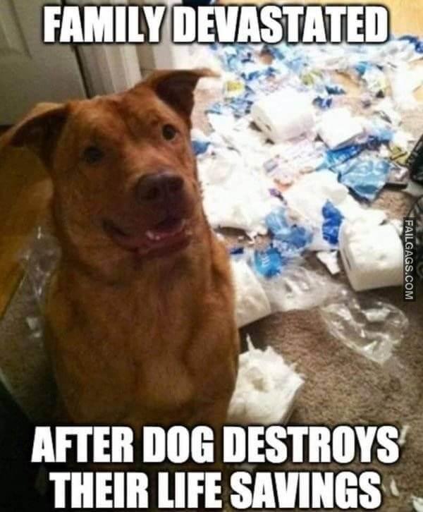 Funny Toilet Paper Memes 11