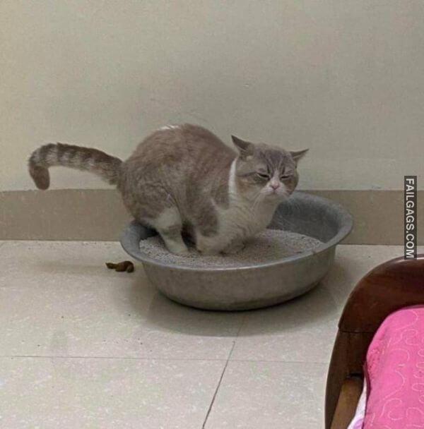 Memes for When Youre Having a Bad Day 5