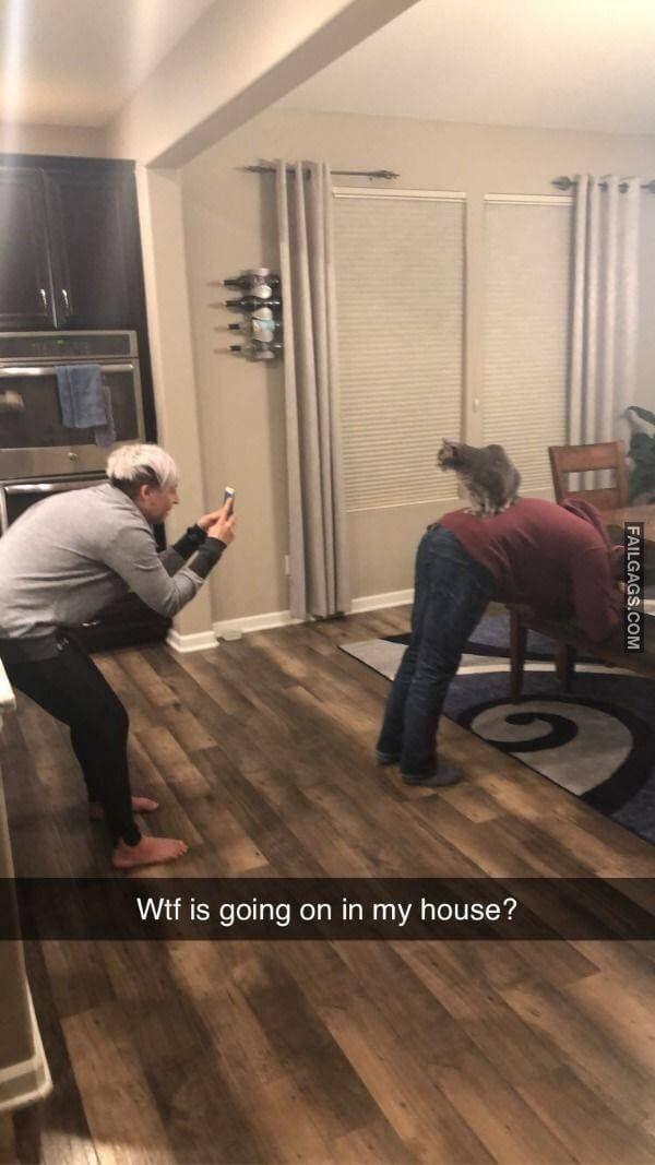 No Explanation Needed 12