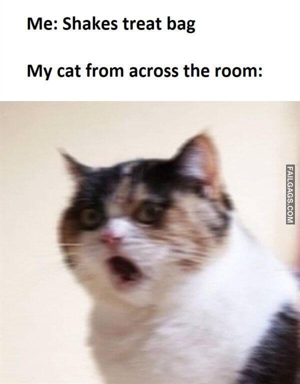 Random Funny Memes 12 1