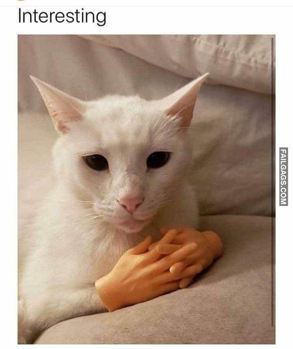 Random Funny Memes 12 8