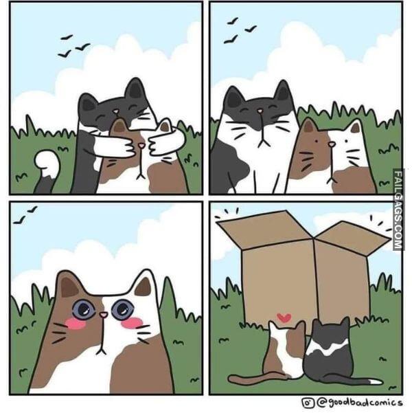 Random Funny Memes 12