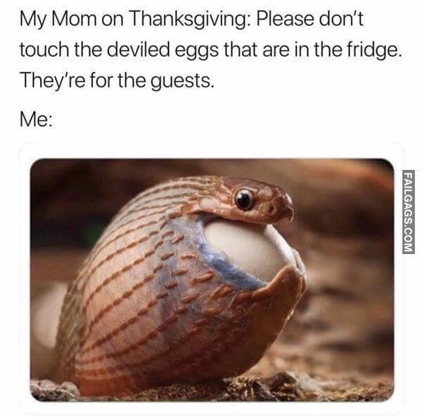 Random Funny Memes 15 1