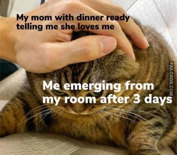 Random Funny Memes 15