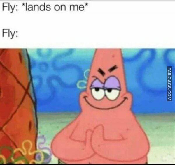 Random Funny Memes 20 1