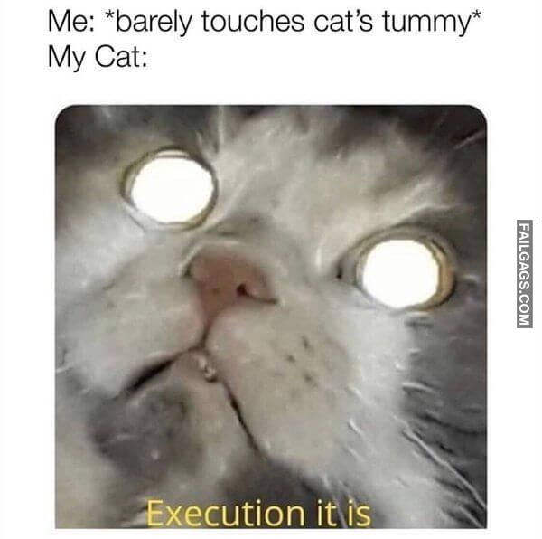 Random Funny Memes 5 9