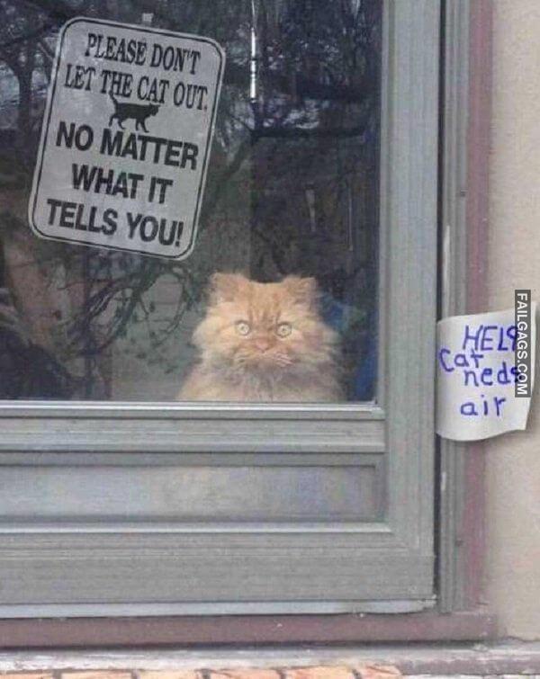 Random Funny Memes 7 6