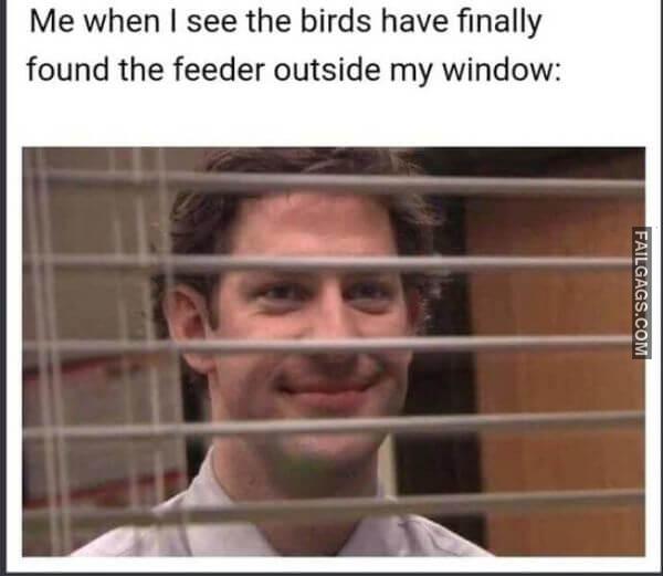 Wholesome Memes Never Hurt Nobody 11