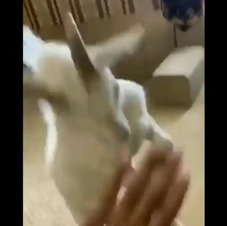 What a Couple Days Self-isolation Looks Like