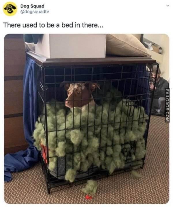 Funny Tweets to Make You Laugh Out Loud 13