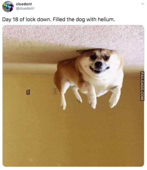 Funny Tweets to Make You Laugh Out Loud 4