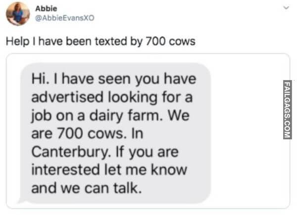 Funny Tweets to Make You Laugh Out Loud 8