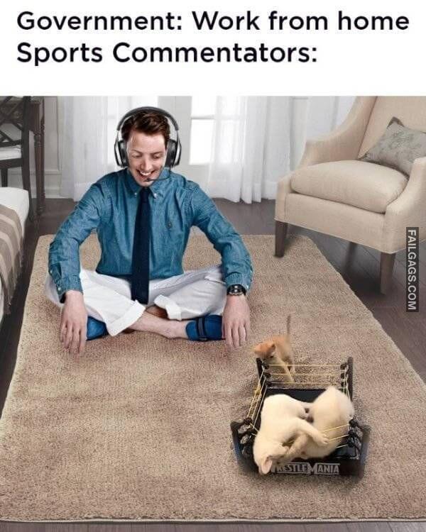 Funny Work From Home Memes 10