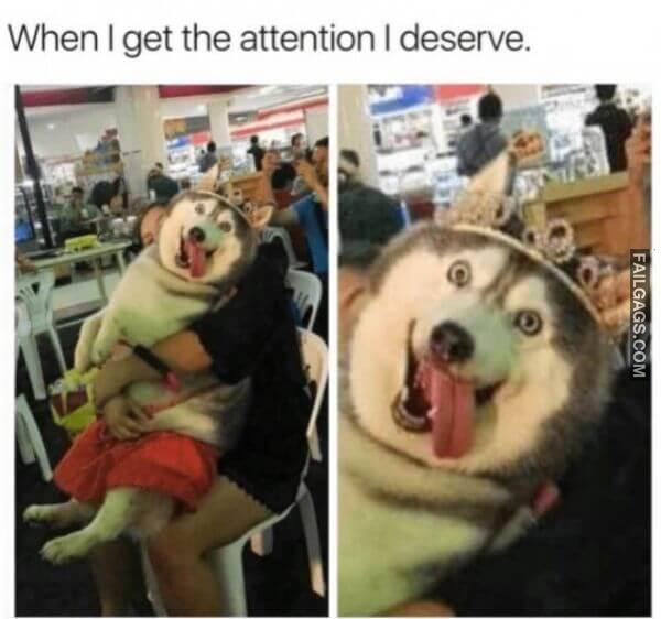 Random Funny Memes 1 7