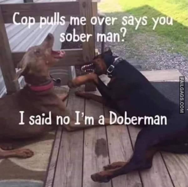 Random Funny Memes 14 6