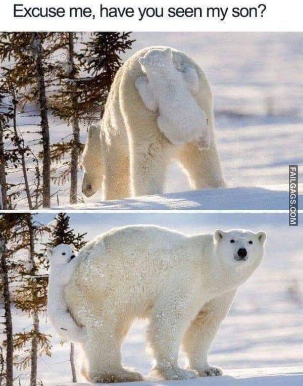 Random Funny Memes 14 8