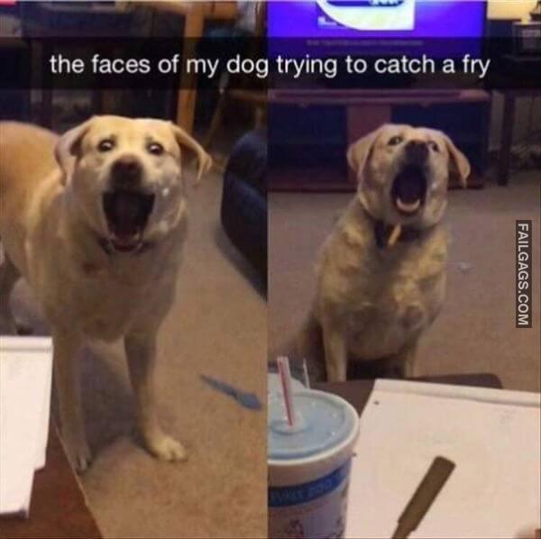 Random Funny Memes 18 5