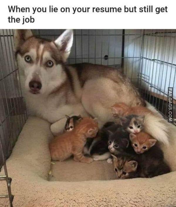 Random Funny Memes 3 11
