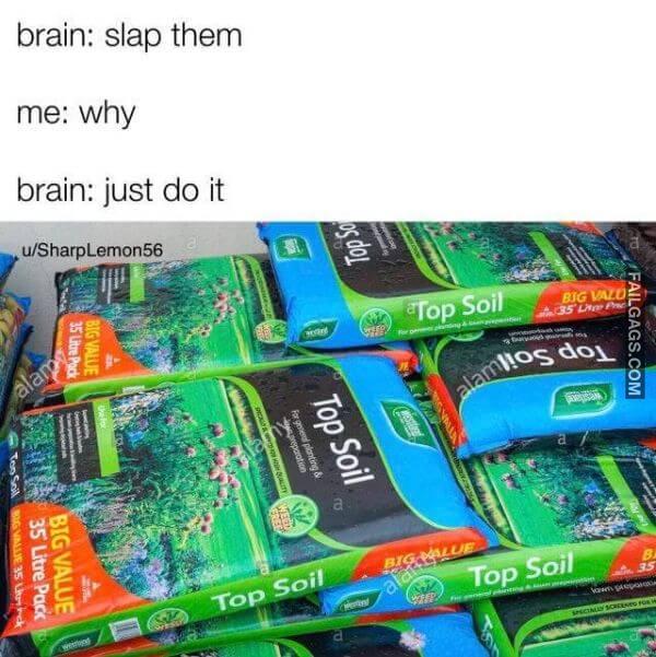 Random Funny Memes 3