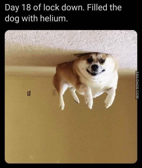 Random Funny Memes 4 5