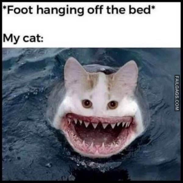 Random Funny Memes 5 3