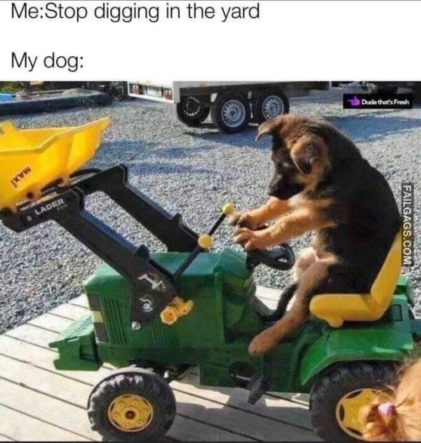 Random Funny Memes 5 8