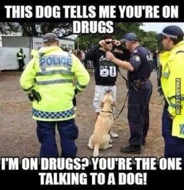 Random Funny Memes 6 8