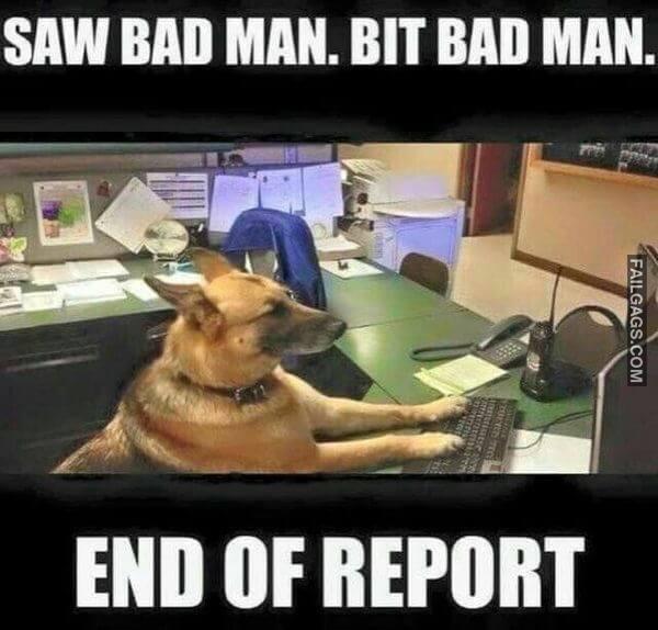 Random Funny Memes 8 6