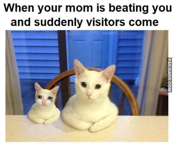 Random Funny Memes 8 7