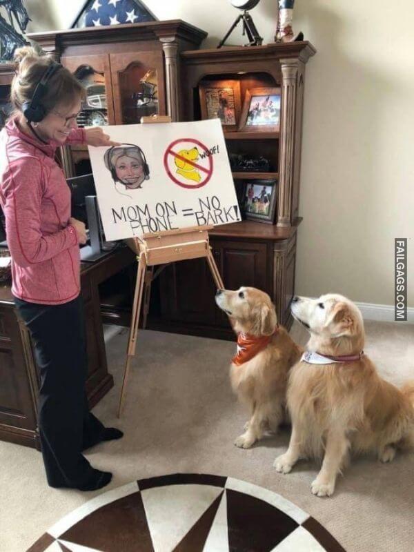Random Funny Memes 8 9