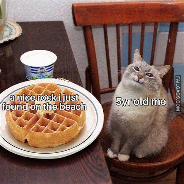 Random Funny Memes
