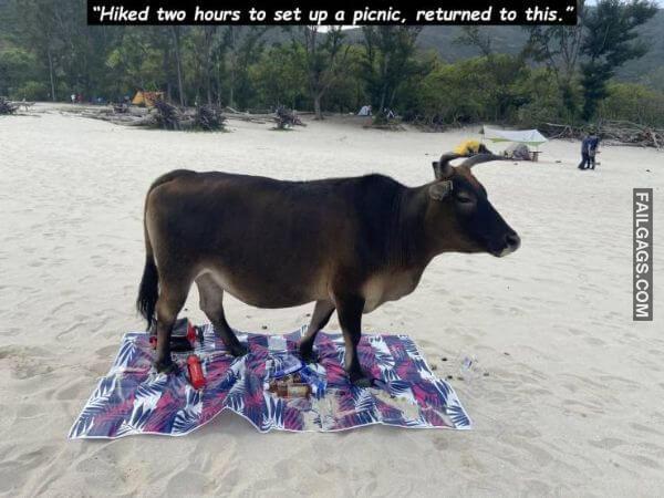 The Definition of a Bad Day 4