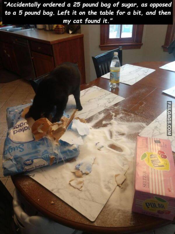 The Definition of a Bad Day 8