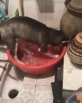 Do Not Play With Water