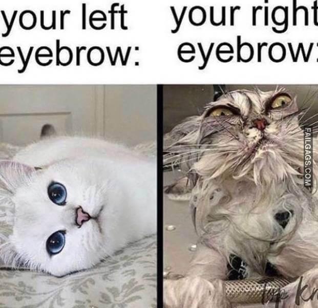 funny Women memes 11